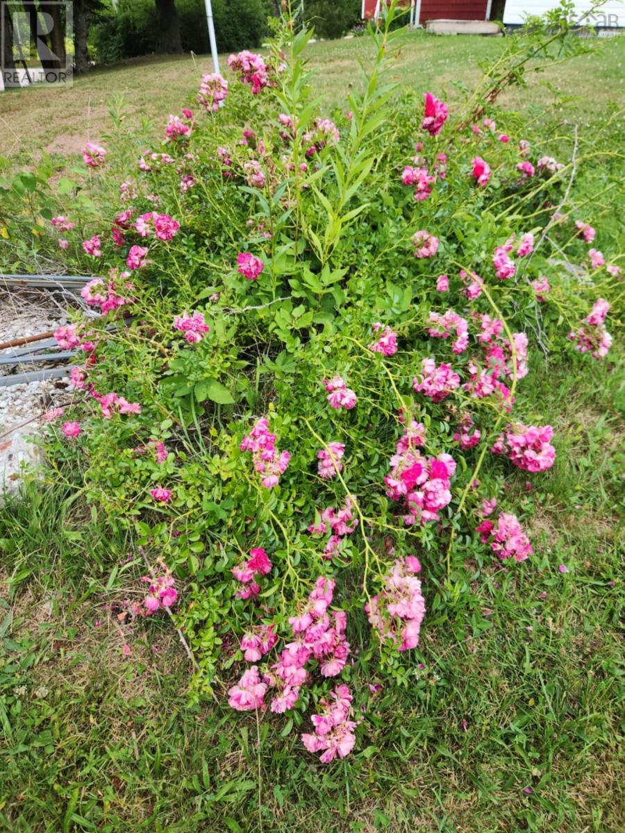 7121 Highway 223, Big Beach, Nova Scotia  B1T 1M4 - Photo 28 - 202502566
