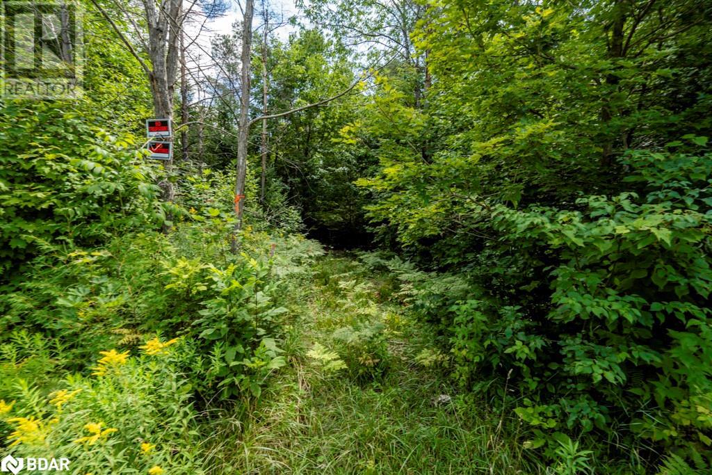 5349 30th Side Road, Essa, Ontario  L0M 1T0 - Photo 10 - 40699274