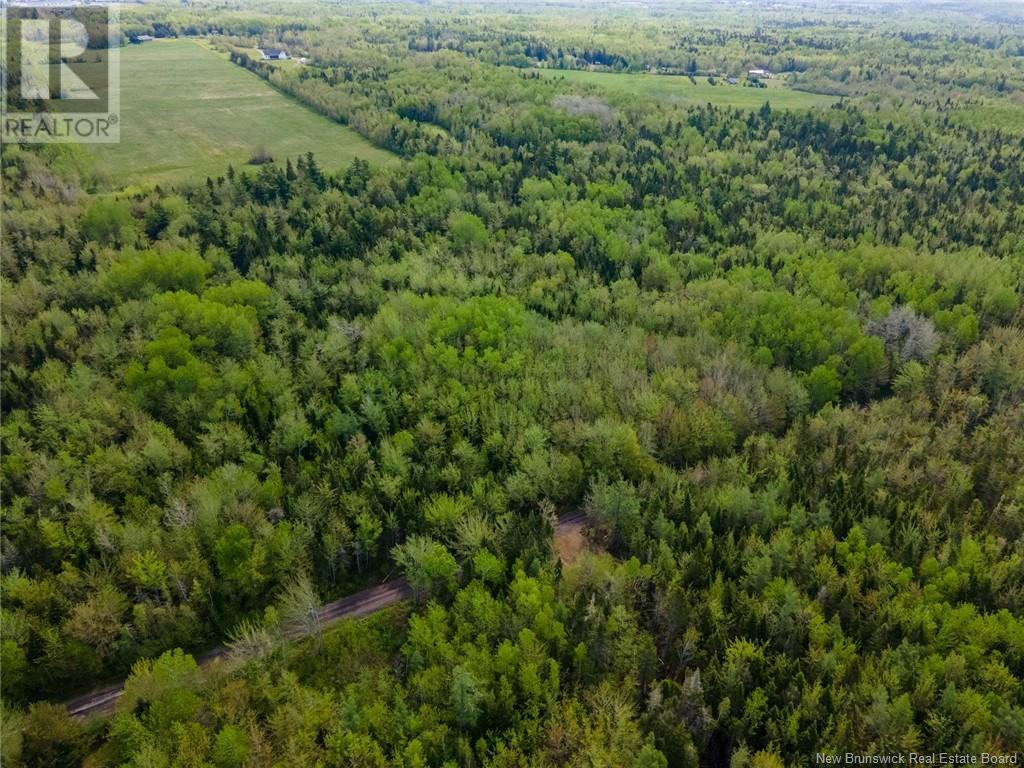 Lot 21-06 Haut Saint-Antoine Road, Saint-Antoine, New Brunswick  E4V 3B3 - Photo 10 - NB112792