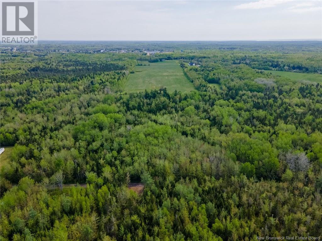 Lot 21-06 Haut Saint-Antoine Road, Saint-Antoine, New Brunswick  E4V 3B3 - Photo 8 - NB112792