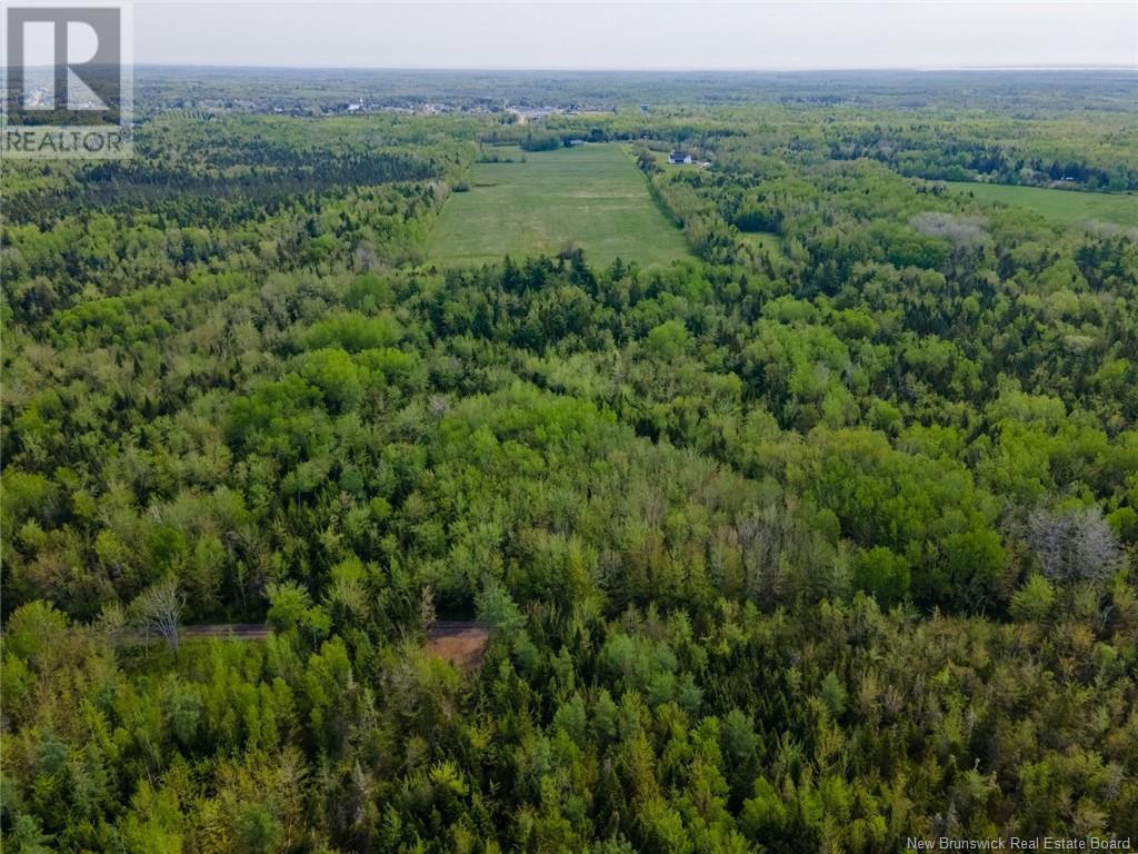 Lot 21-06 Haut Saint-Antoine Road, Saint-Antoine, New Brunswick  E4V 3B3 - Photo 9 - NB112792