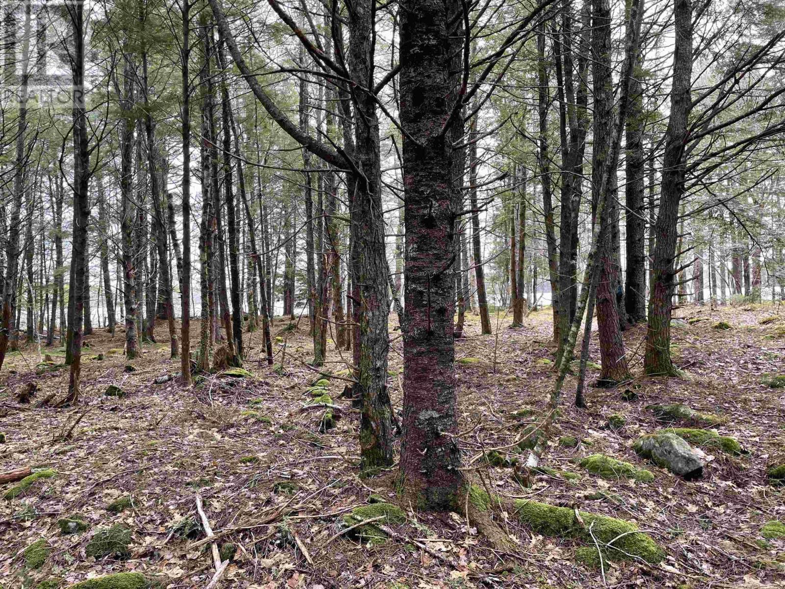 Lot 5-23 Huber Road, Camperdown, Nova Scotia  B4V 6T6 - Photo 18 - 202503311