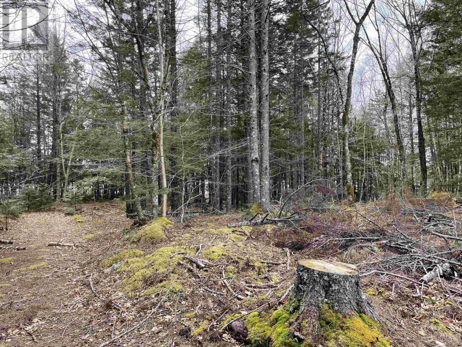 Lot 5-23 Huber Road, Camperdown, Nova Scotia  B4V 6T6 - Photo 21 - 202503311