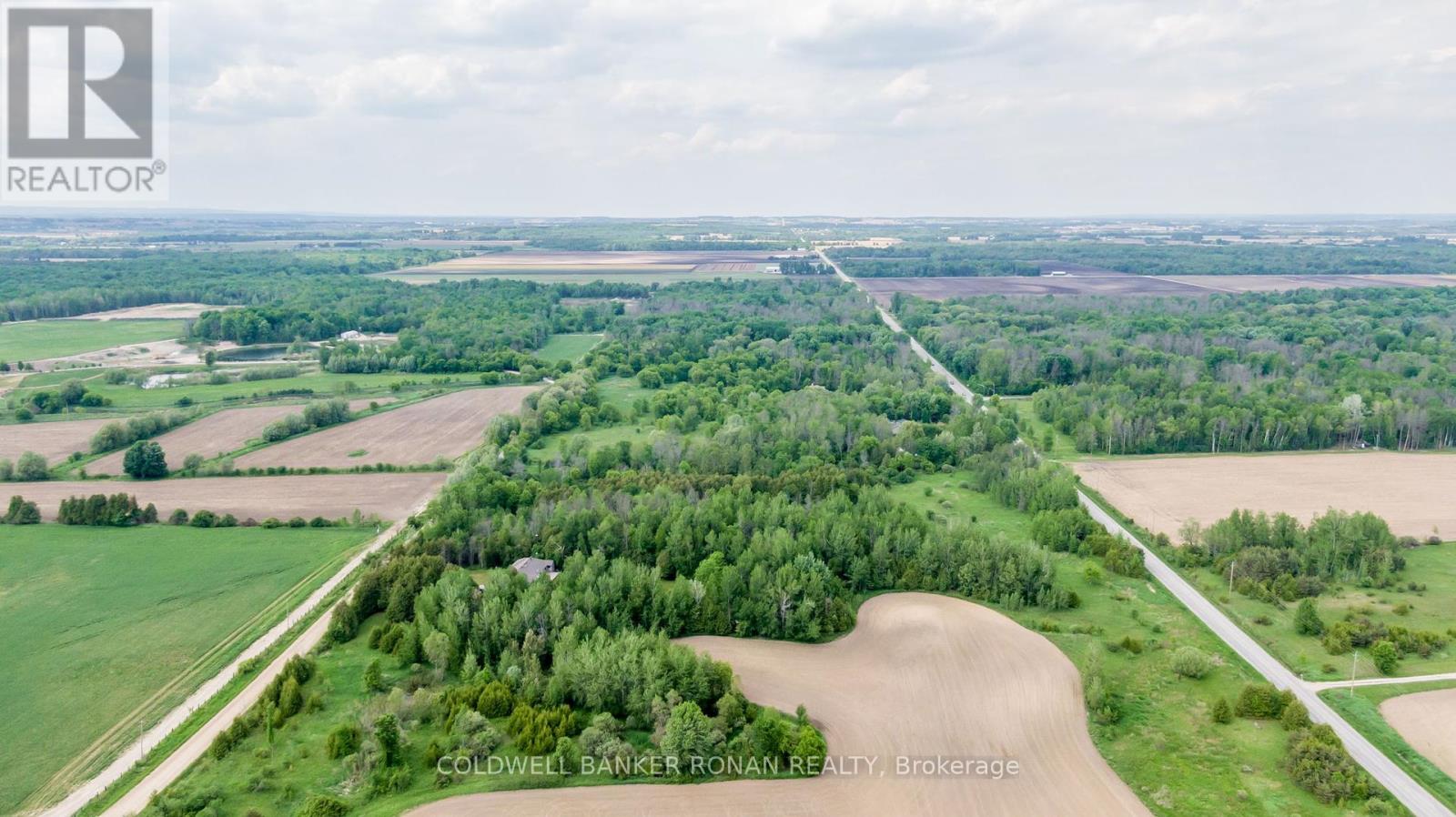 3131 Concession Road 8, Adjala-Tosorontio, Ontario  L0G 1W0 - Photo 16 - N11981342
