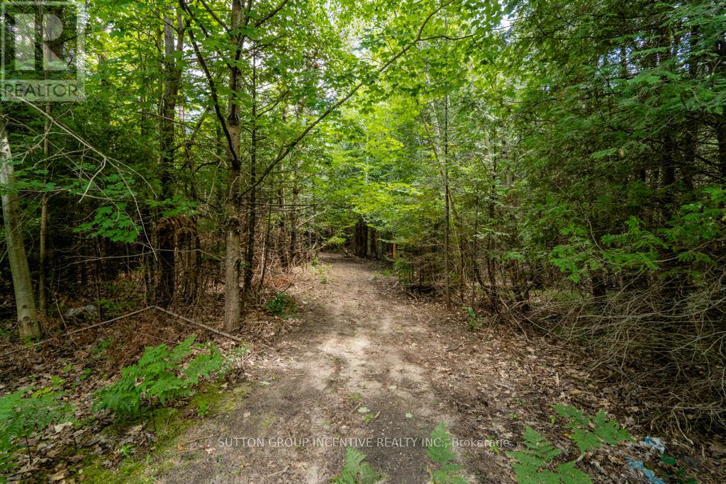 5349 30th Side Road, Essa, Ontario  L0M 1T0 - Photo 10 - N11981932