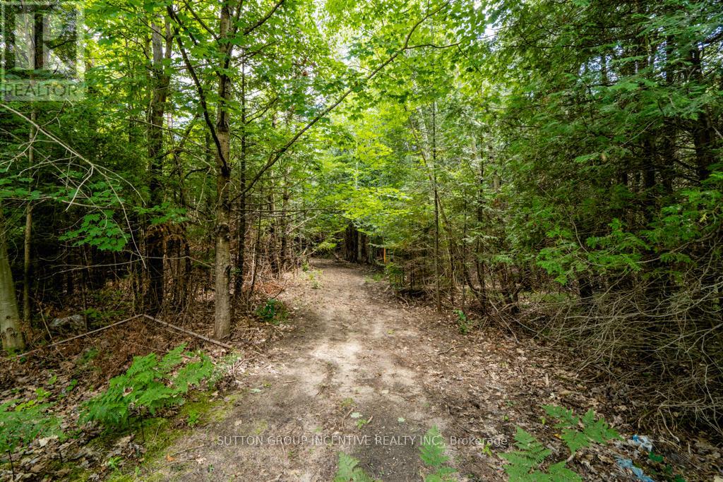 5349 30th Side Road, Essa, Ontario  L0M 1T0 - Photo 11 - N11981932