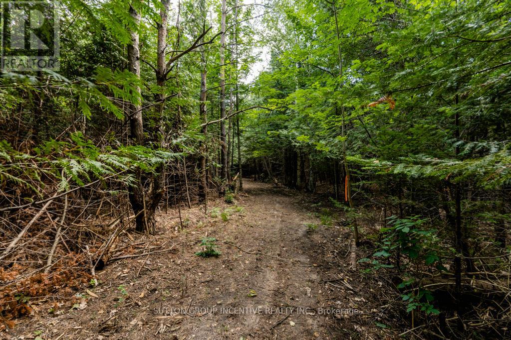 5349 30th Side Road, Essa, Ontario  L0M 1T0 - Photo 12 - N11981932