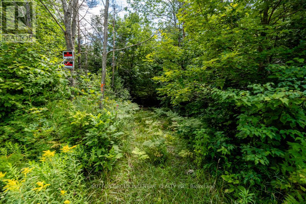 5349 30th Side Road, Essa, Ontario  L0M 1T0 - Photo 8 - N11981932