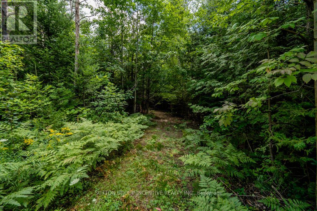 5349 30th Side Road, Essa, Ontario  L0M 1T0 - Photo 9 - N11981932