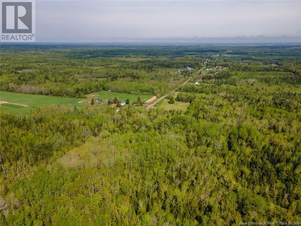 Lot 21-05 Haut St Antoine Road, Haut-Saint-Antoine, New Brunswick  E4V 3B3 - Photo 7 - NB112791