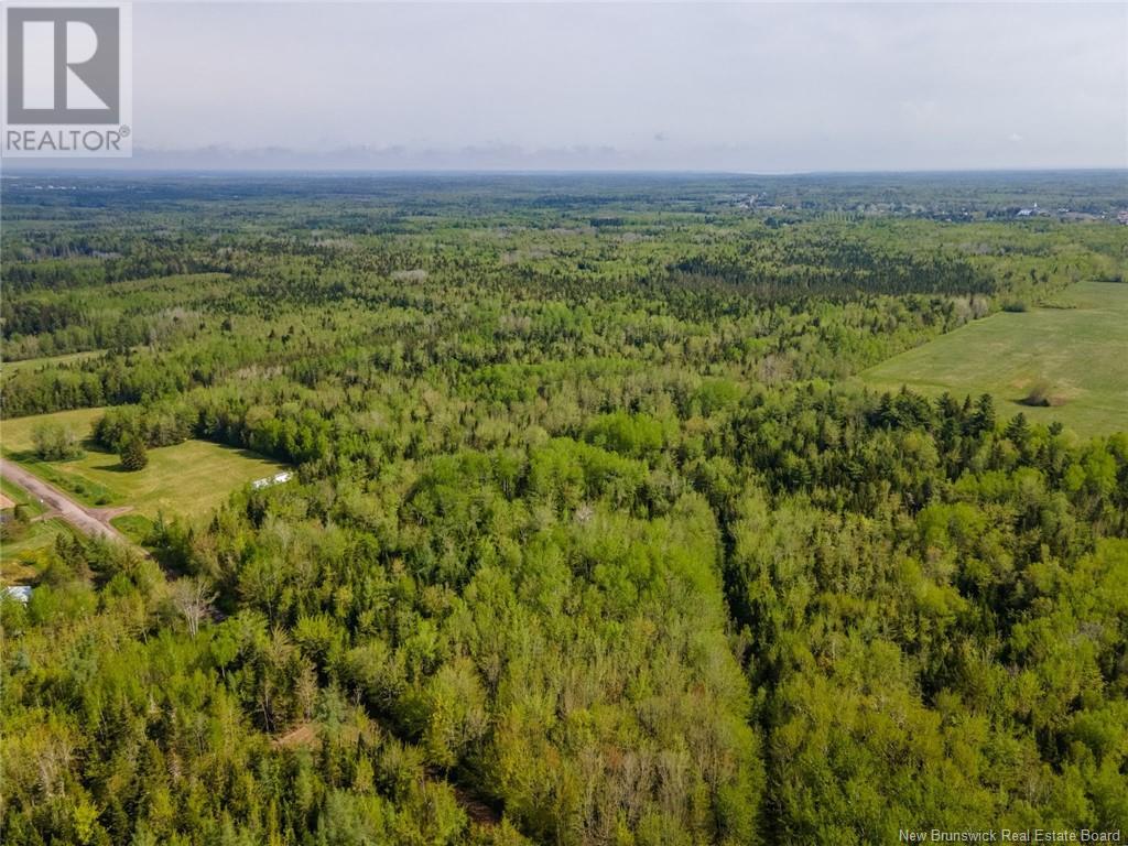 Lot 21-05 Haut St Antoine Road, Haut-Saint-Antoine, New Brunswick  E4V 3B3 - Photo 8 - NB112791