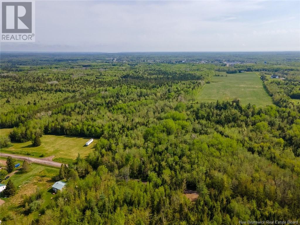 Lot 21-05 Haut St Antoine Road, Haut-Saint-Antoine, New Brunswick  E4V 3B3 - Photo 9 - NB112791