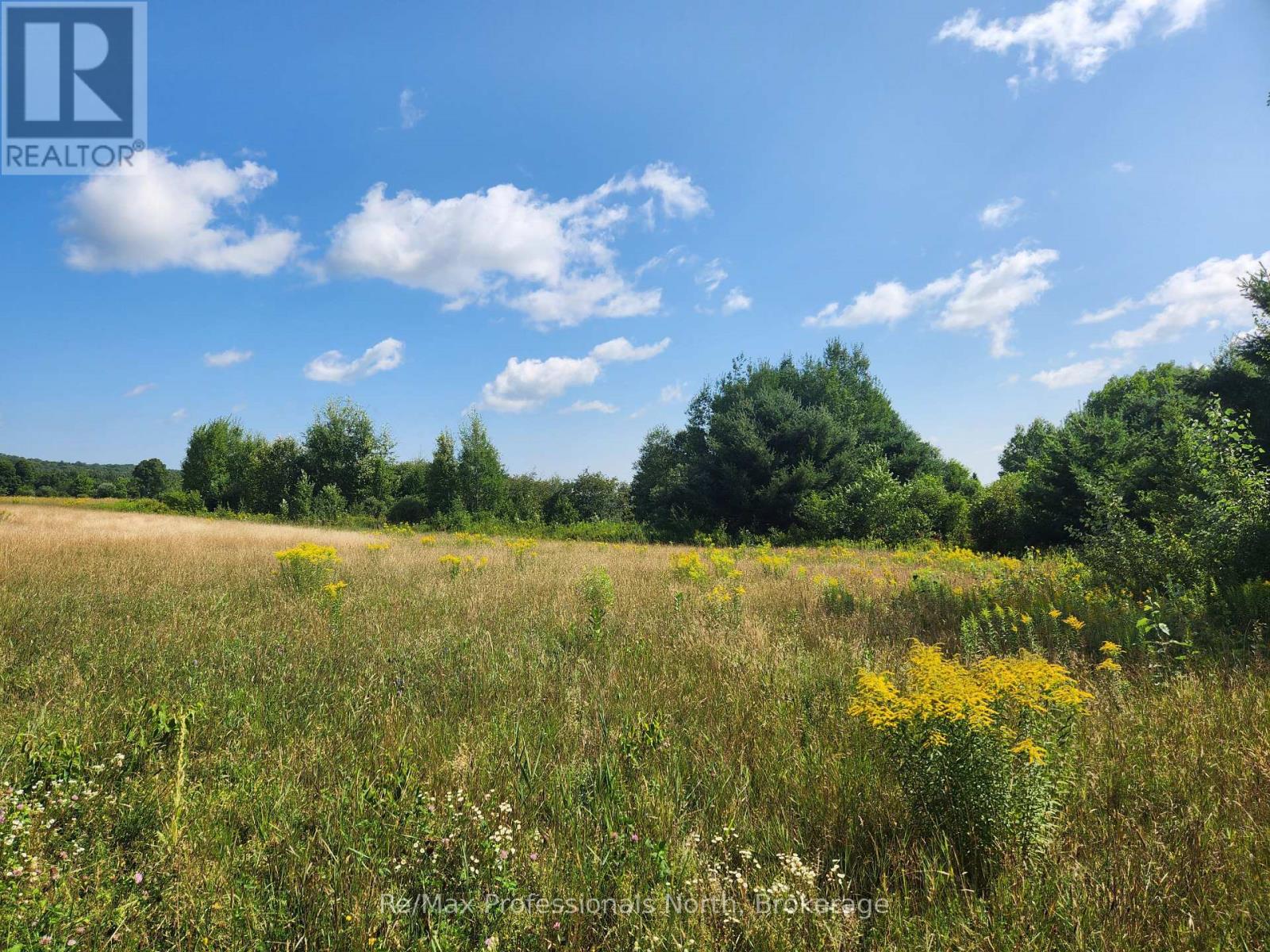 0 Deep Bay Road, Minden Hills, Ontario  K0M 2K0 - Photo 3 - X11982038