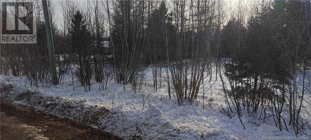 20-1 Bryson Road, Nasonworth, New Brunswick  E3B 9C2 - Photo 2 - NB112929