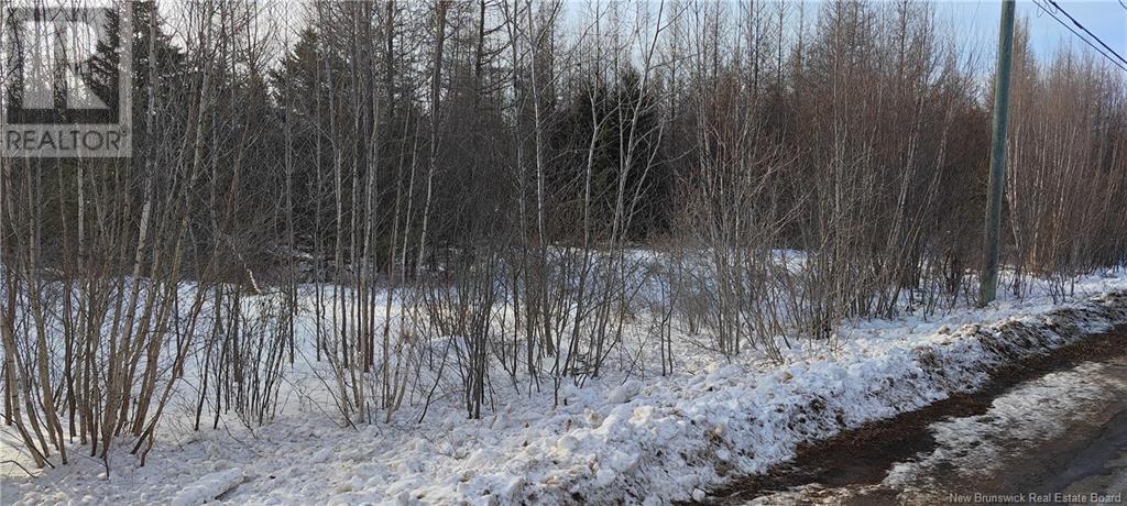 20-1 Bryson Road, Nasonworth, New Brunswick  E3B 9C2 - Photo 3 - NB112929