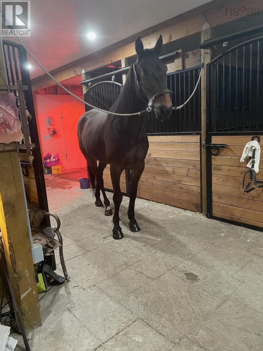 568 Seaview Drive, Upper North Sydney, Nova Scotia  B2A 3N8 - Photo 49 - 202503333