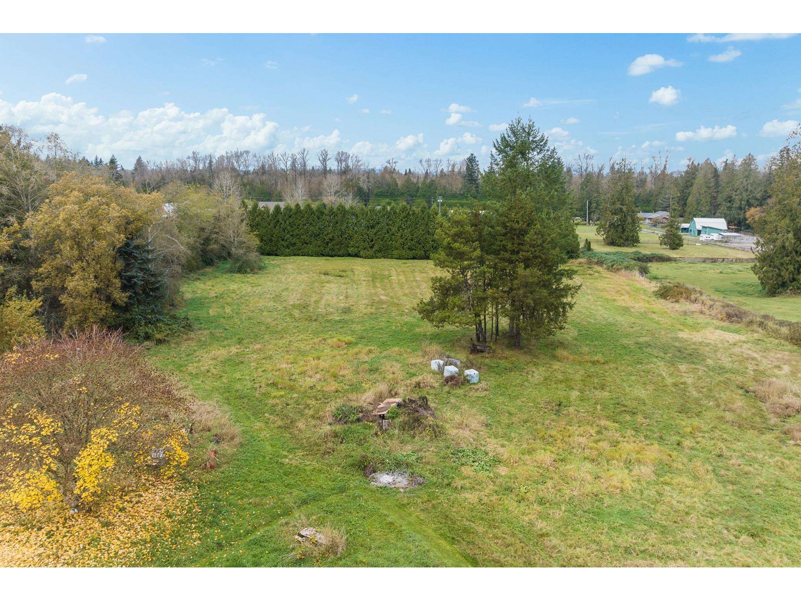 21411 2 Avenue, Langley, British Columbia  V2Z 1S4 - Photo 3 - R2968525