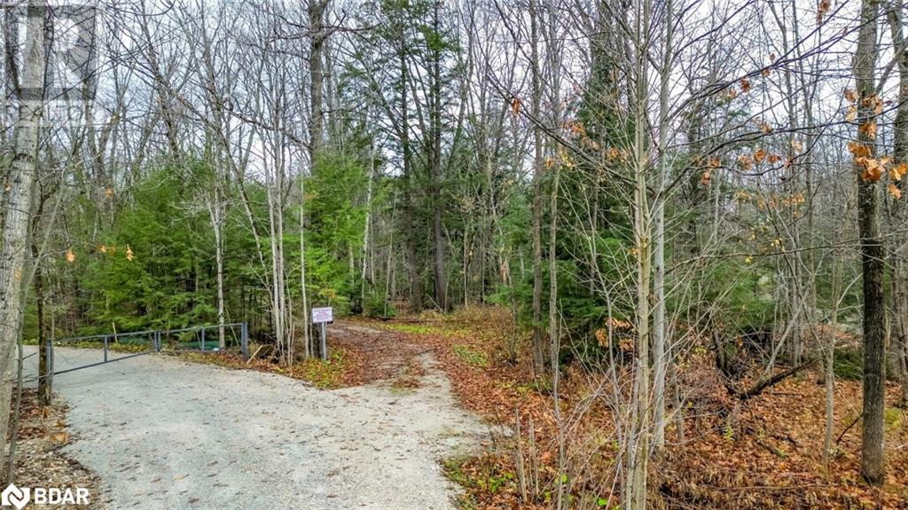7012 County Road 169, Washago, Ontario  L0K 2B0 - Photo 3 - 40700303