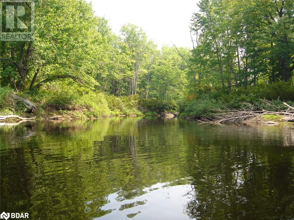 7012 County Road 169, Washago, Ontario  L0K 2B0 - Photo 7 - 40700303