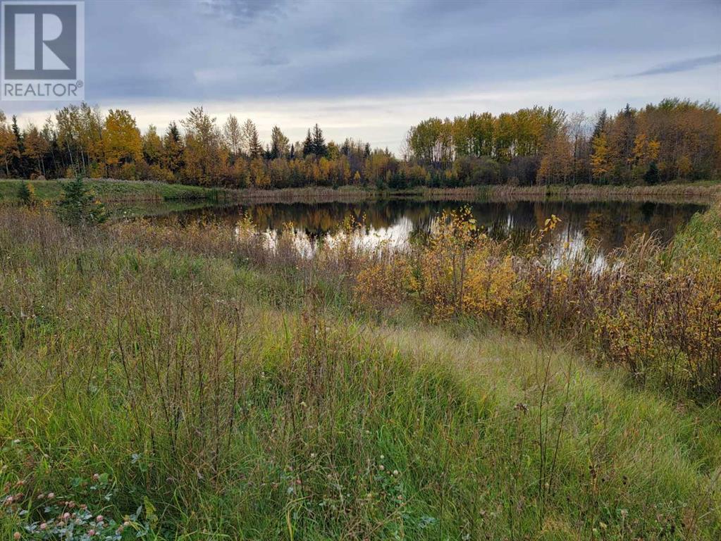 664036 Range Road 199.5, Rural Athabasca County, Alberta  T9S 2A3 - Photo 35 - A2082579