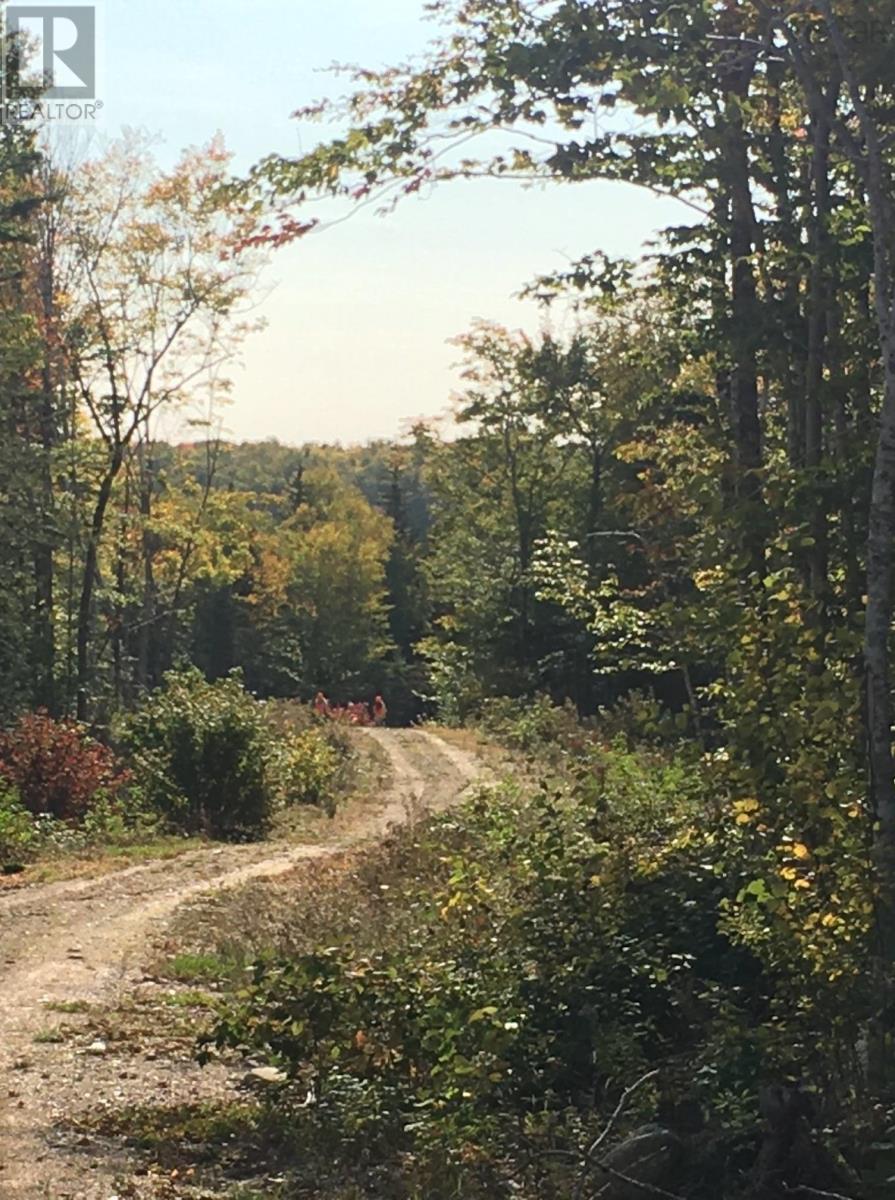 Lot 2 Victory Road, Victory, Nova Scotia  B0S 1A0 - Photo 2 - 202503366