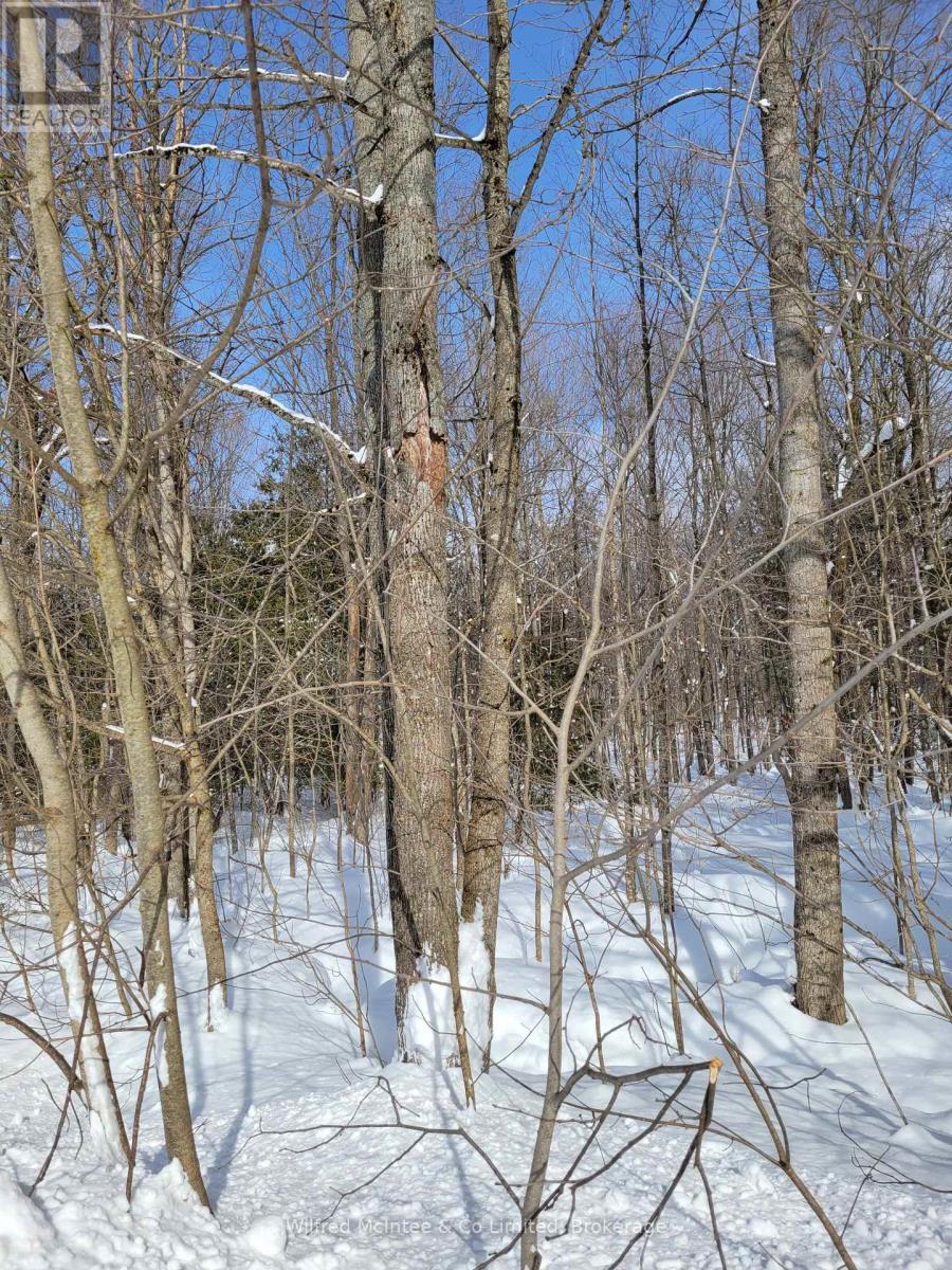 Ptlt 26 Mulock Road, West Grey, Ontario  N0G 1S0 - Photo 3 - X11982906