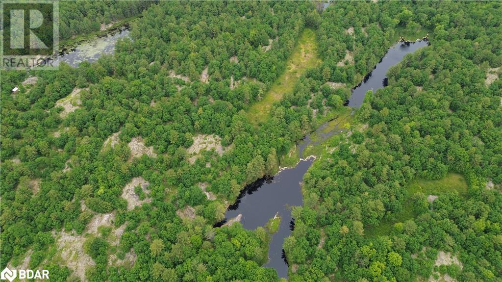 3950 Severn River Shore, Severn Bridge, Ontario  L0K 2B0 - Photo 35 - 40700195