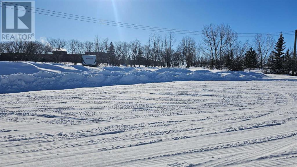 5418 Alexander Avenue, Coronation, Alberta  T0C 1C0 - Photo 2 - A2196349