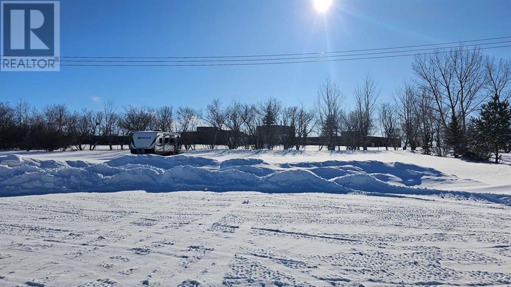 5418 Alexander Avenue, Coronation, Alberta  T0C 1C0 - Photo 3 - A2196349