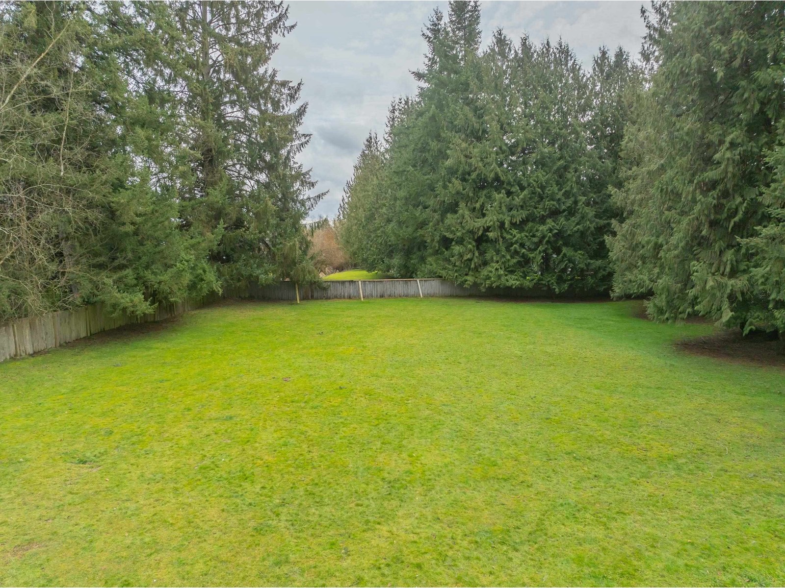 4602 238 Street, Langley, British Columbia  V2Z 2S9 - Photo 8 - R2969311
