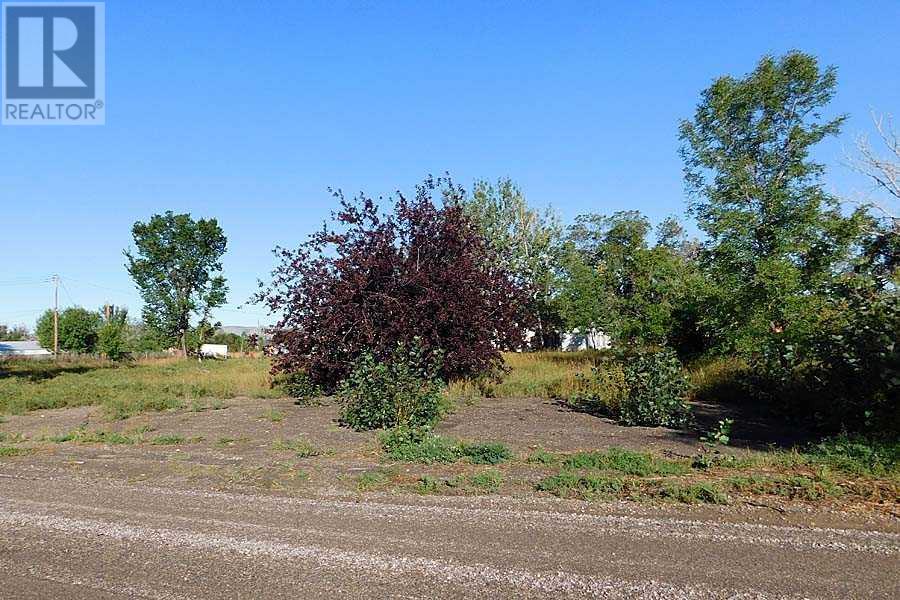 11 Tigermoth Crescent E, Rural Willow Creek No. 26, Alberta  T0L 0T0 - Photo 5 - A2161425