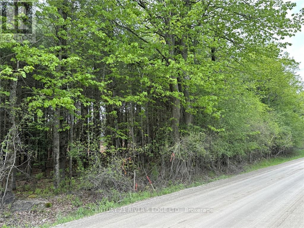 12082 Land O'nod Road, Merrickville-Wolford, Ontario  K0G 1R0 - Photo 10 - X9515254