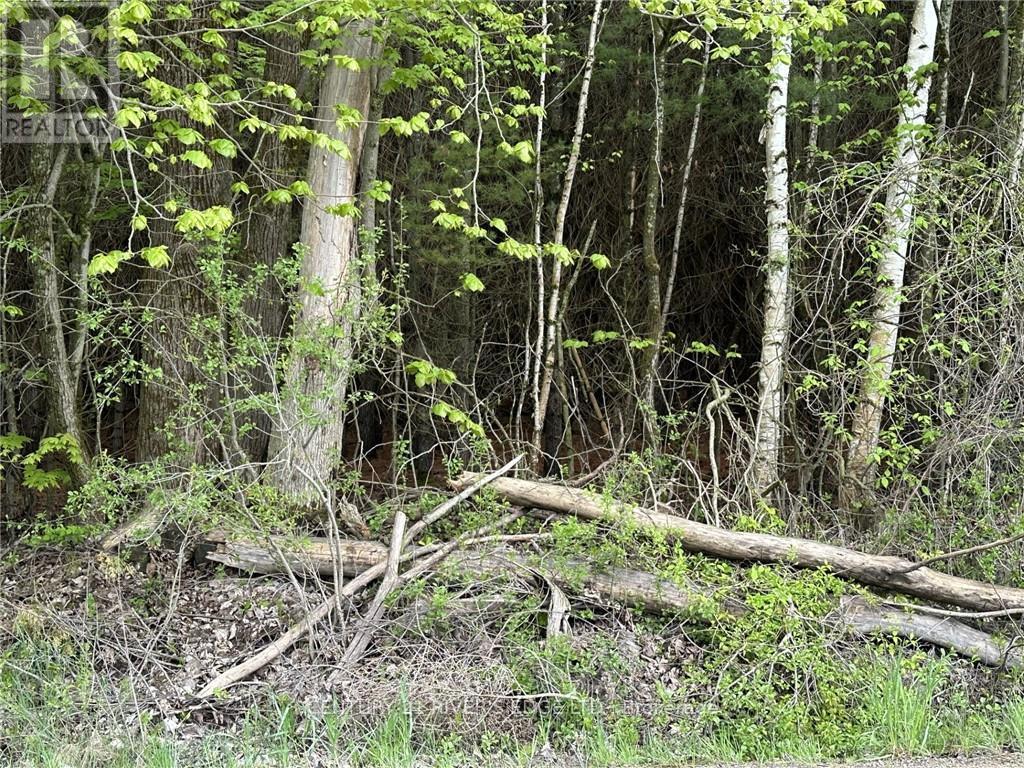 12082 Land O'nod Road, Merrickville-Wolford, Ontario  K0G 1R0 - Photo 13 - X9515254