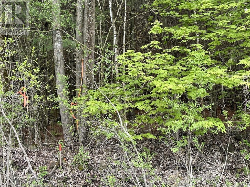 12082 Land O'nod Road, Merrickville-Wolford, Ontario  K0G 1R0 - Photo 14 - X9515254