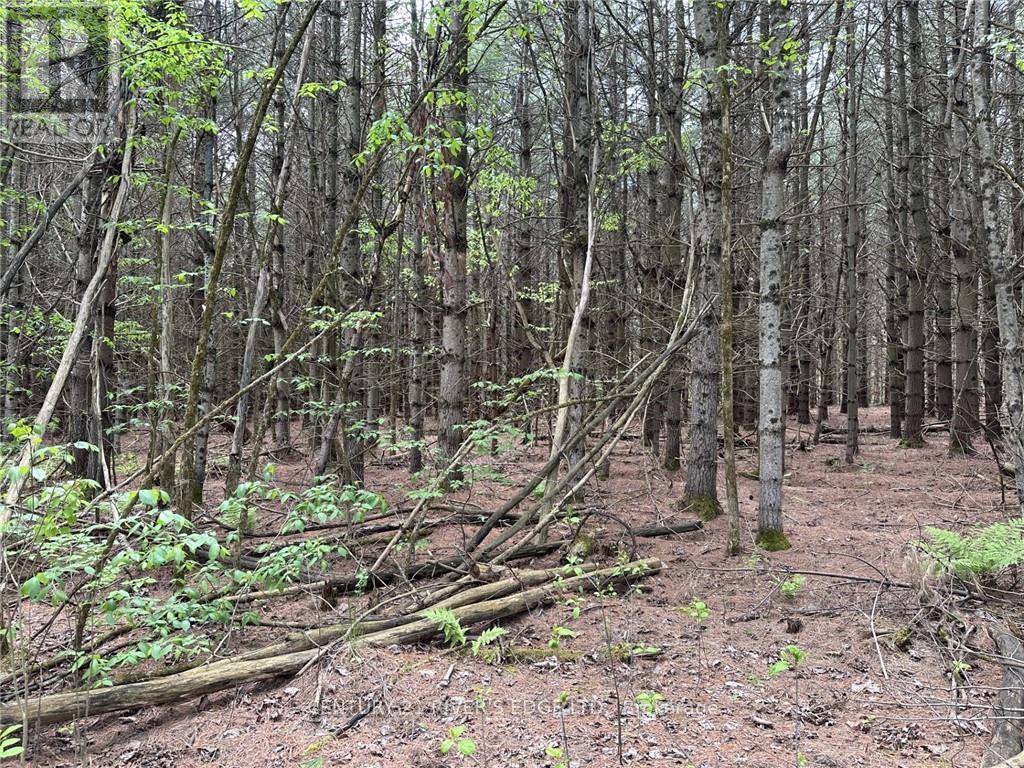 12082 Land O'nod Road, Merrickville-Wolford, Ontario  K0G 1R0 - Photo 16 - X9515254