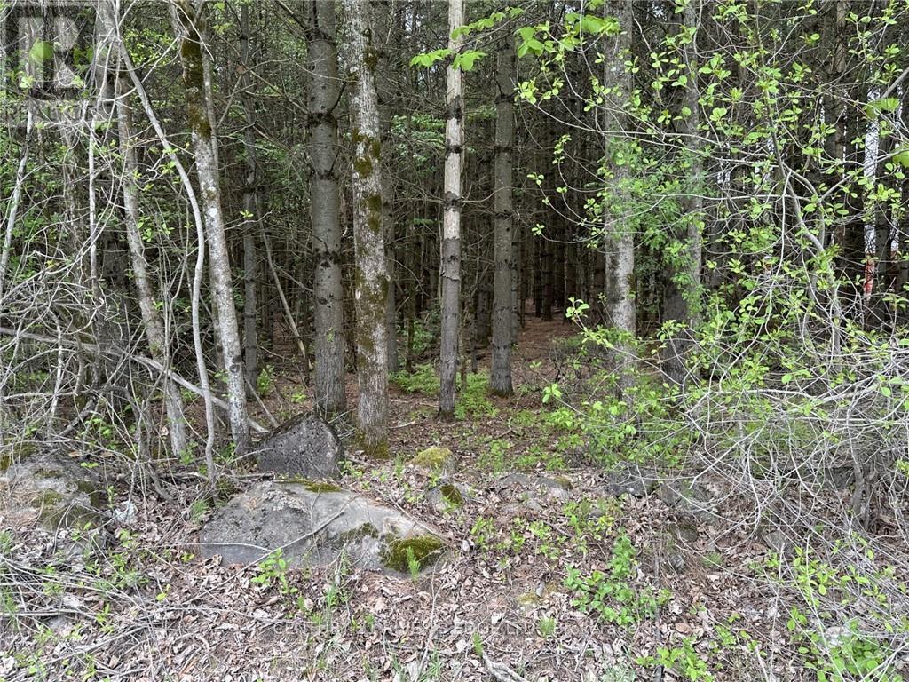 12082 Land O'nod Road, Merrickville-Wolford, Ontario  K0G 1R0 - Photo 30 - X9515254
