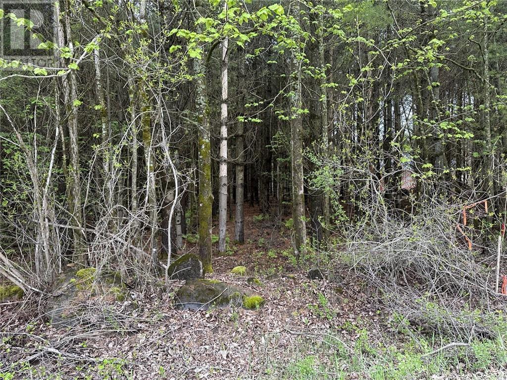 12082 Land O'nod Road, Merrickville-Wolford, Ontario  K0G 1R0 - Photo 6 - X9515254
