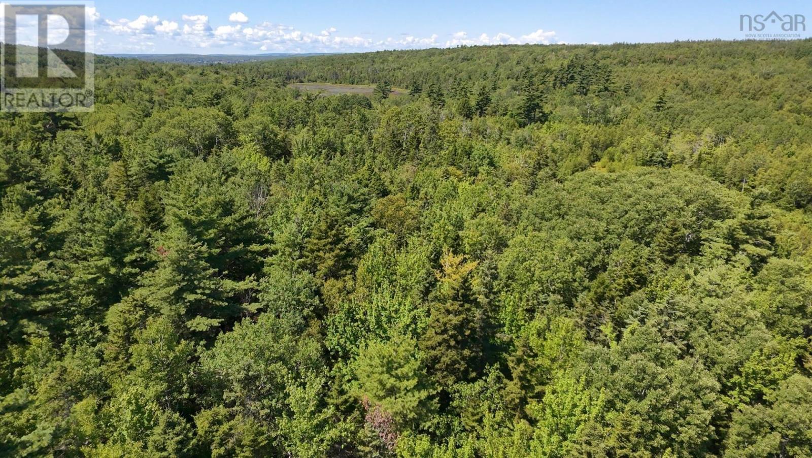 Little Harbour Road, Frasers Mountain, Nova Scotia  B2H 3S9 - Photo 6 - 202503385