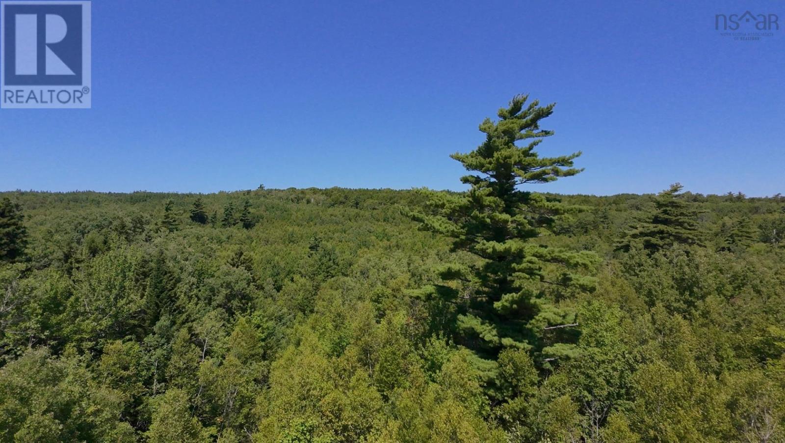 Little Harbour Road, Frasers Mountain, Nova Scotia  B2H 3S9 - Photo 7 - 202503385