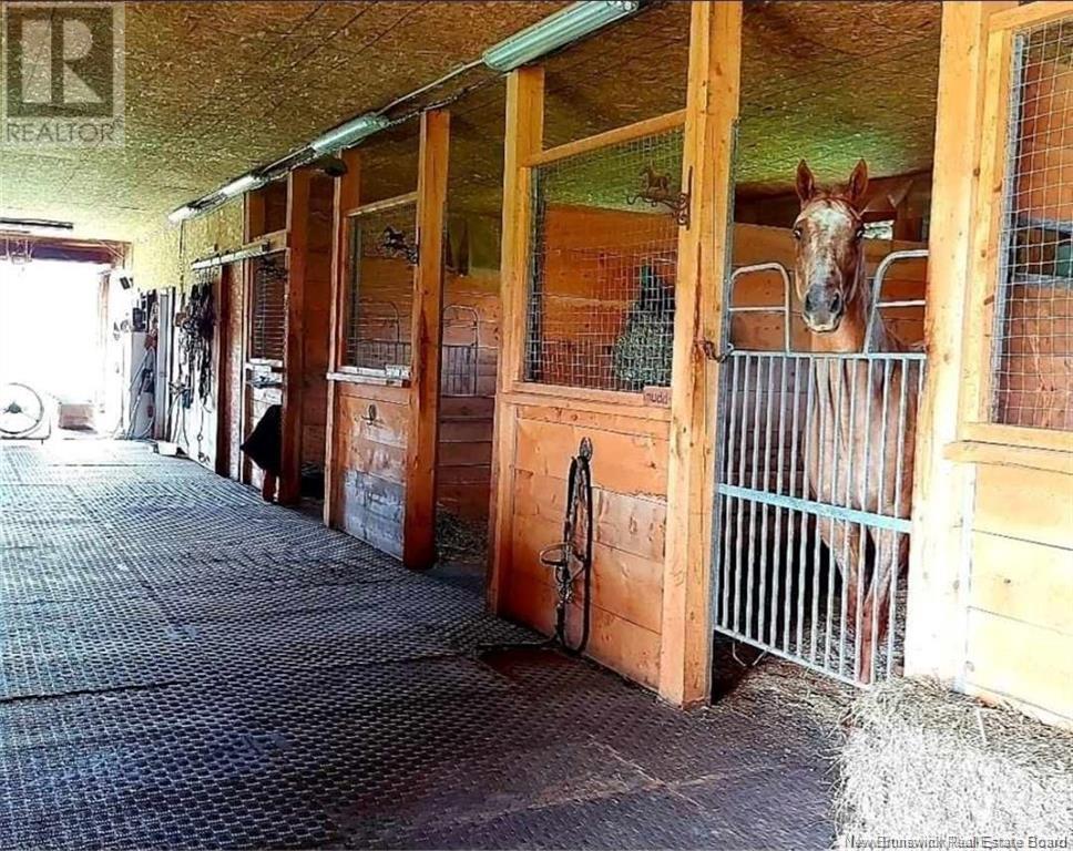 198 Bedell Settlement Road, Bedell, New Brunswick  E7M 4S2 - Photo 36 - NB112784