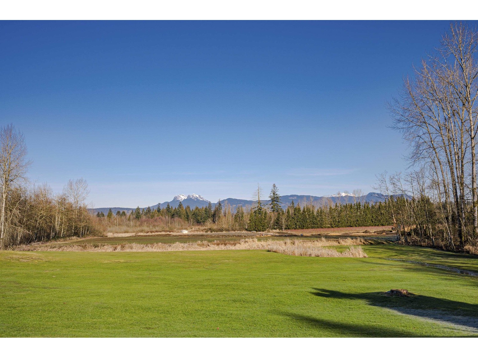 Property at 27071 64 AVENUE image 3
