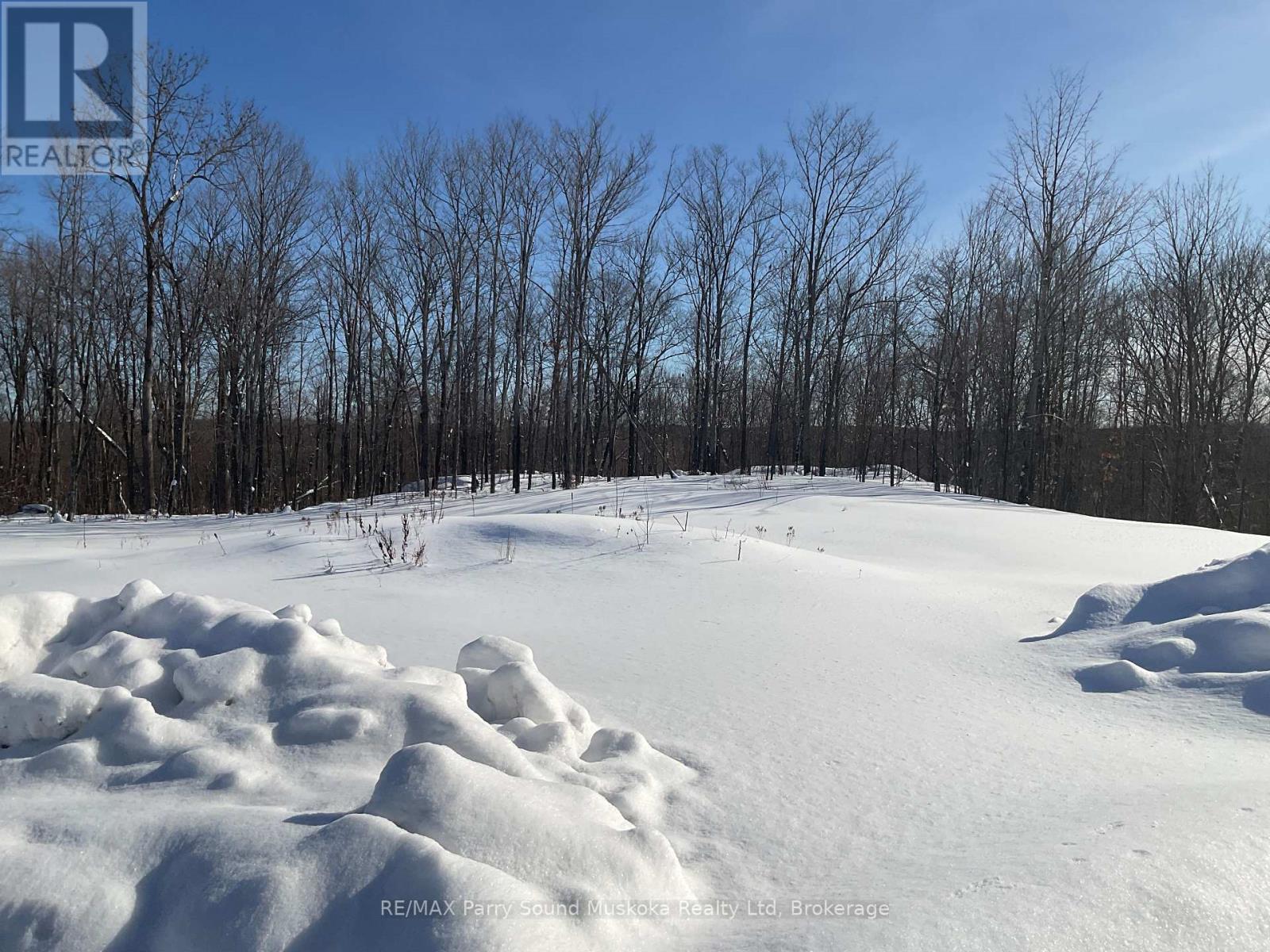 791 Clear Lake Road, Parry Sound Remote Area, Ontario  P0H 1A0 - Photo 3 - X11983588