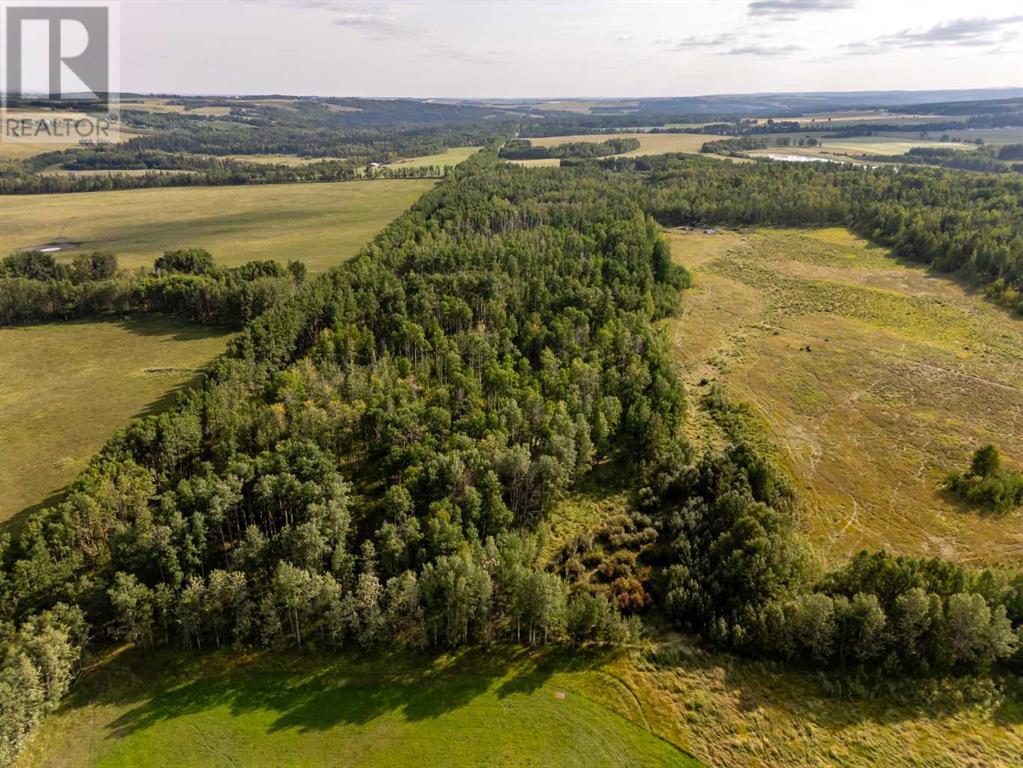 40 Acres Range Road 44, Rural Mountain View County, Alberta  T0M 0R0 - Photo 16 - A2184292