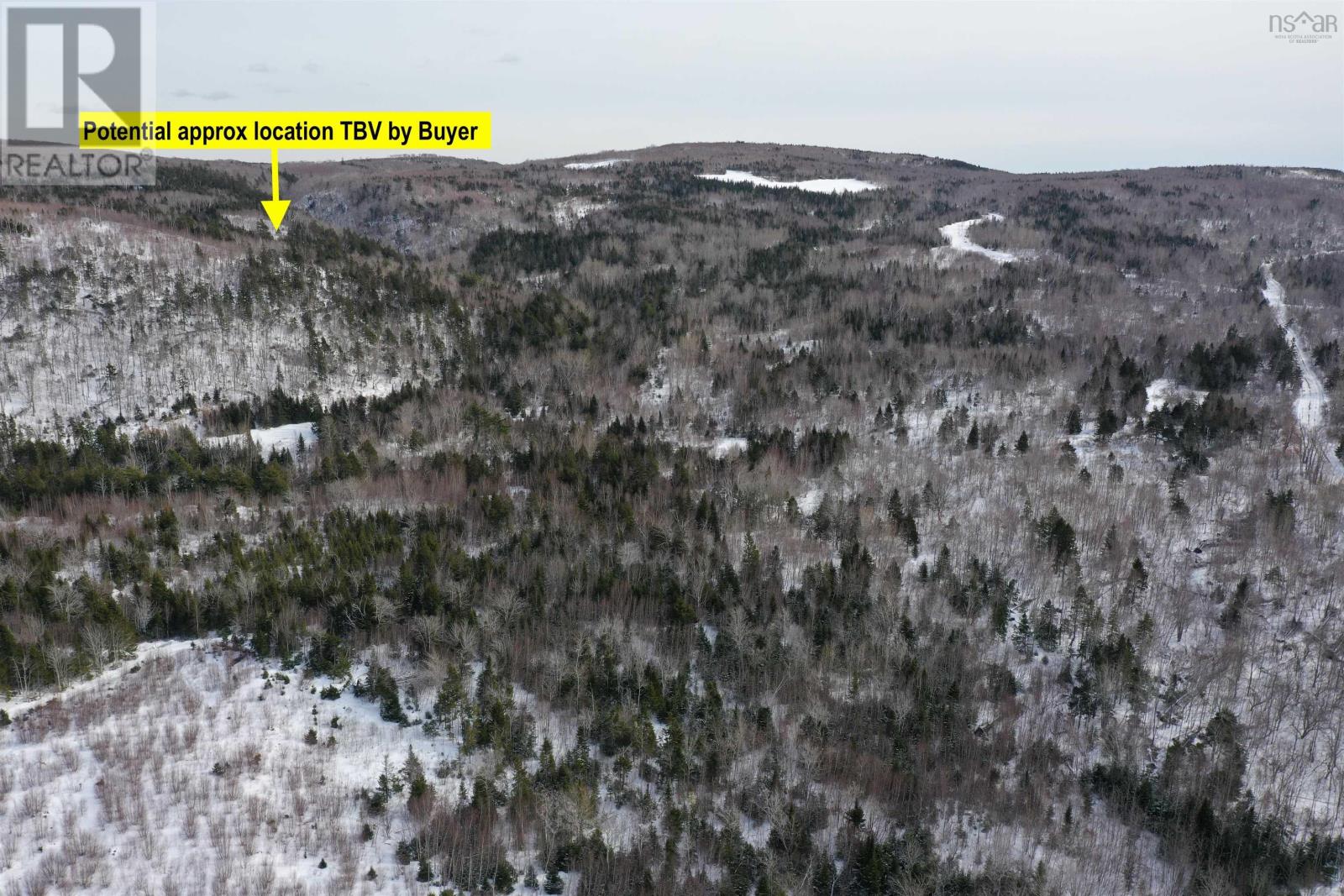 Lot 42 Acres Macgraths Mountain Road, French River, Nova Scotia  B0K 1A0 - Photo 10 - 202503392