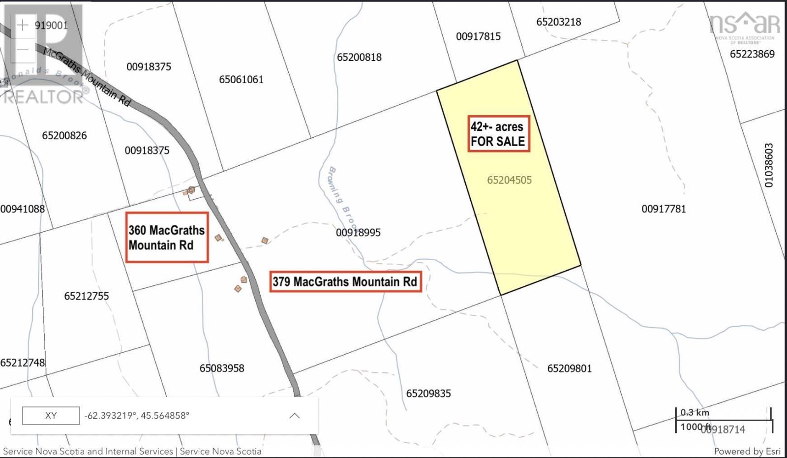 Lot 42 Acres Macgraths Mountain Road, French River, Nova Scotia  B0K 1A0 - Photo 3 - 202503392