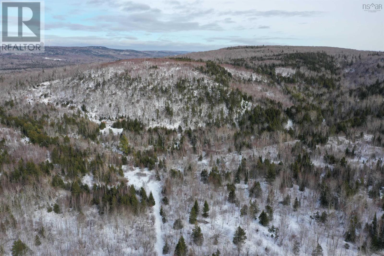 Lot 42 Acres Macgraths Mountain Road, French River, Nova Scotia  B0K 1A0 - Photo 4 - 202503392