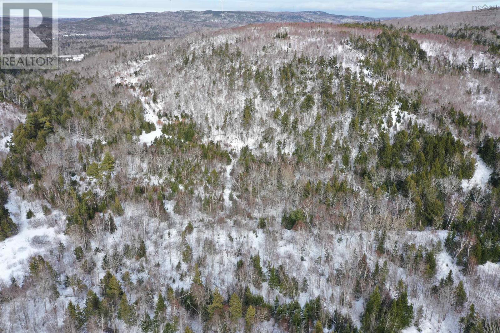 Lot 42 Acres Macgraths Mountain Road, French River, Nova Scotia  B0K 1A0 - Photo 5 - 202503392