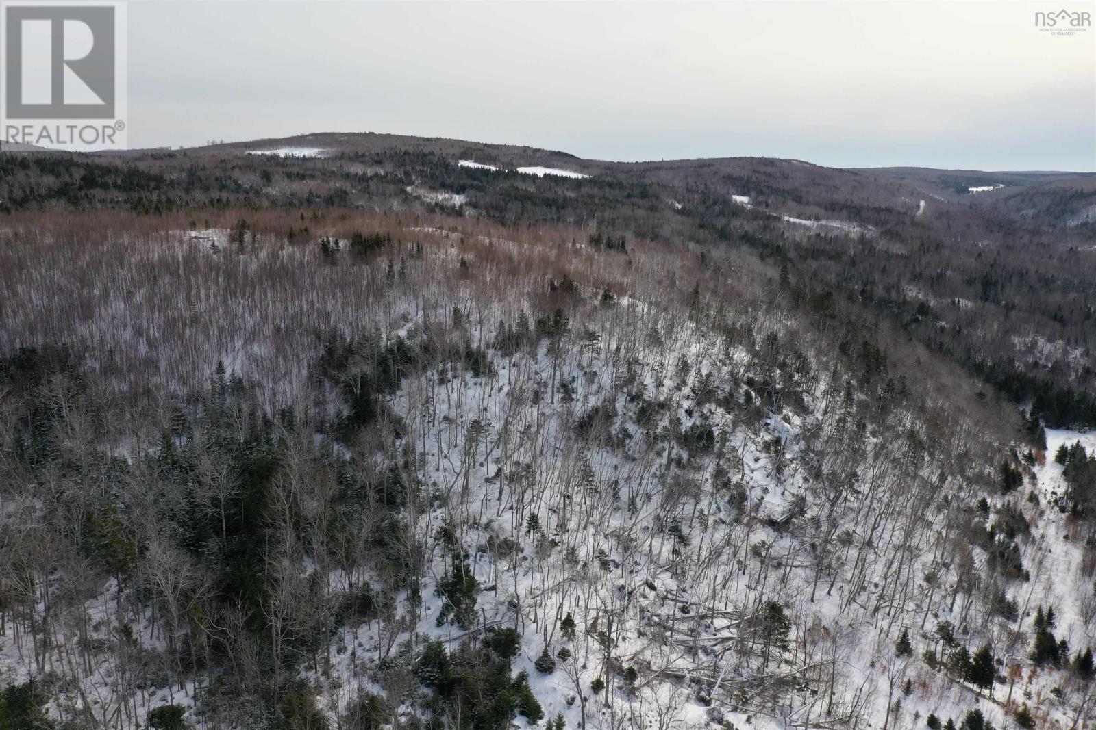 Lot 42 Acres Macgraths Mountain Road, French River, Nova Scotia  B0K 1A0 - Photo 6 - 202503392