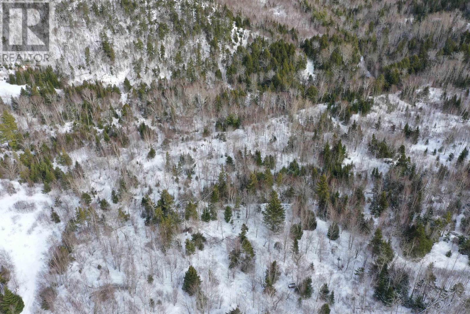 Lot 42 Acres Macgraths Mountain Road, French River, Nova Scotia  B0K 1A0 - Photo 7 - 202503392