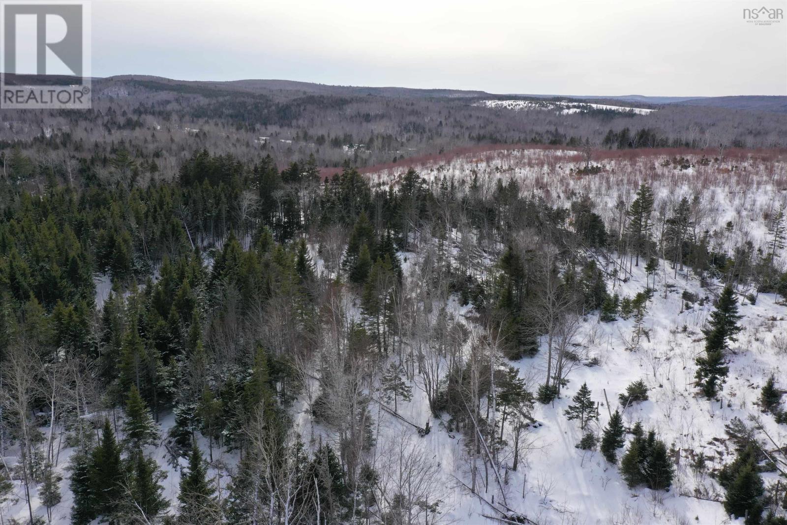 Lot 42 Acres Macgraths Mountain Road, French River, Nova Scotia  B0K 1A0 - Photo 8 - 202503392
